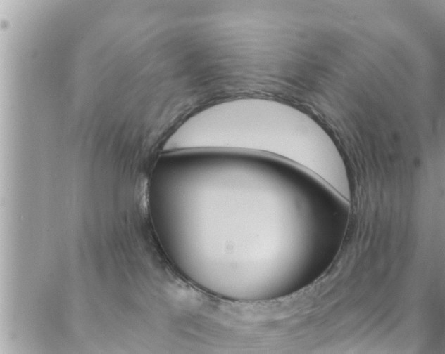 X0000088610041200705250908