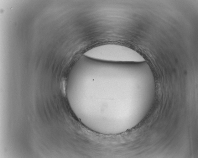 X0000088610042200705250908