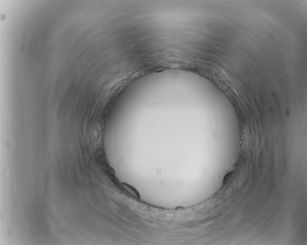 X0000088610043200705250908