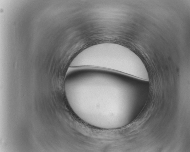 X0000088610044200705250908