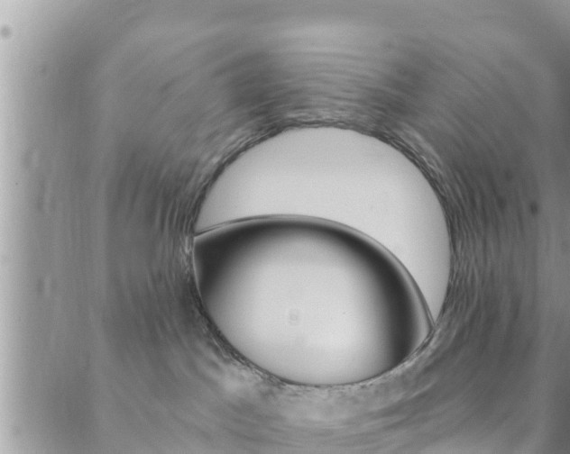 X0000088610045200705250908