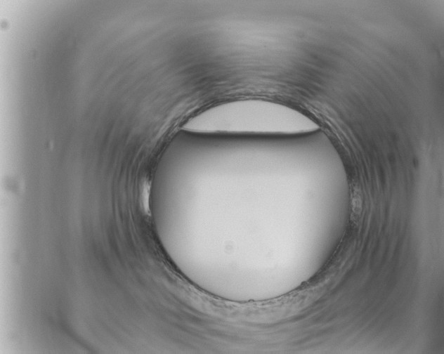 X0000088610046200705250908