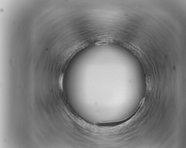 X0000088610047200705250908