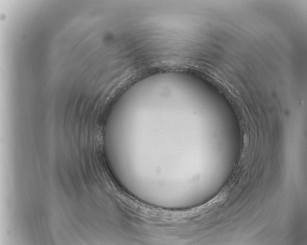 X0000088610048200705250908