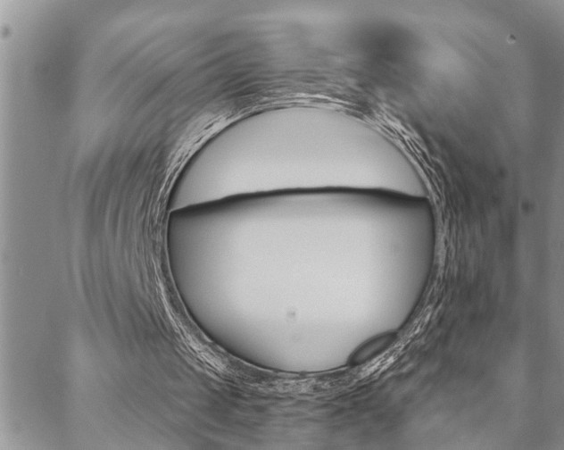 X0000088610049200705250907