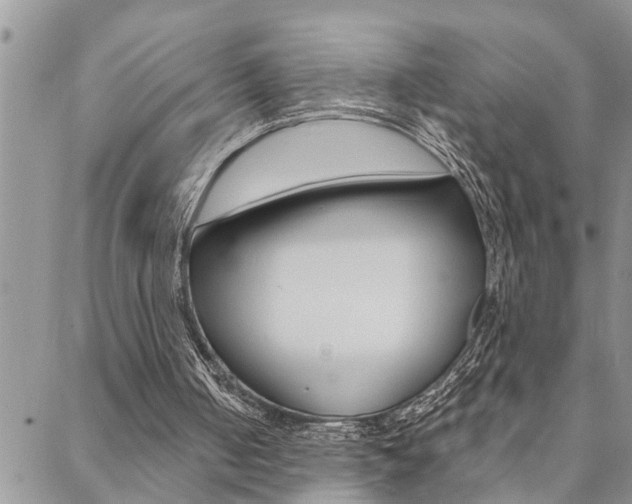 X0000088610050200705250907