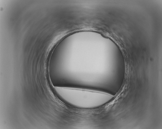 X0000088610055200705250907