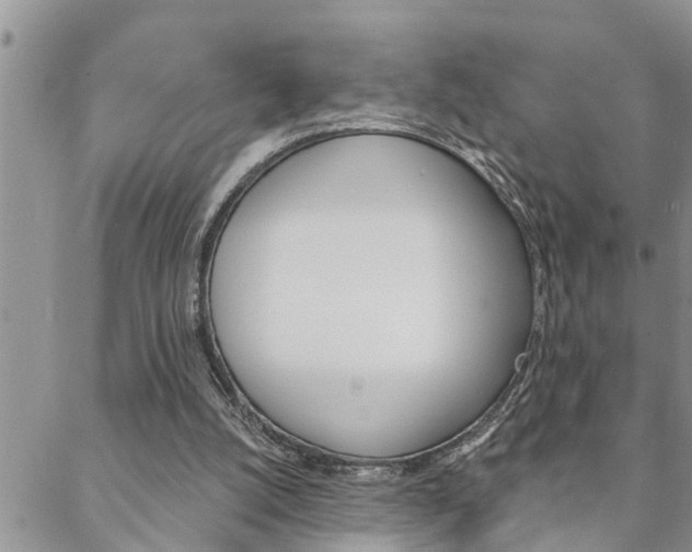 X0000088610056200705250908