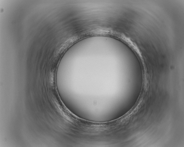 X0000088610057200705250908