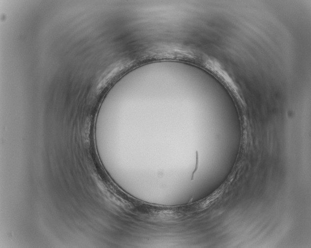 X0000088610058200705250908