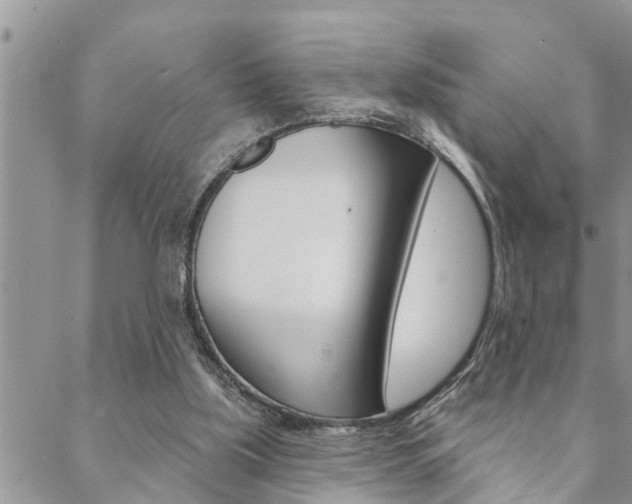 X0000088610059200705250908