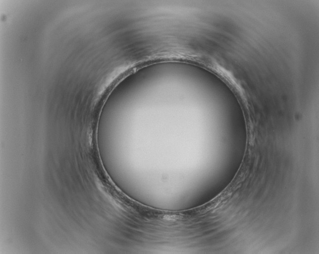 X0000088610060200705250908