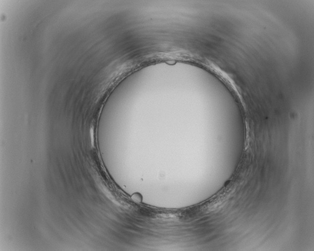 X0000088610061200705250908