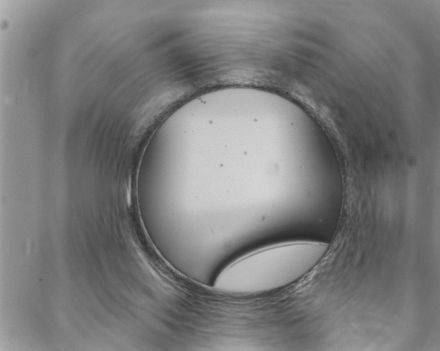 X0000088610062200705250908