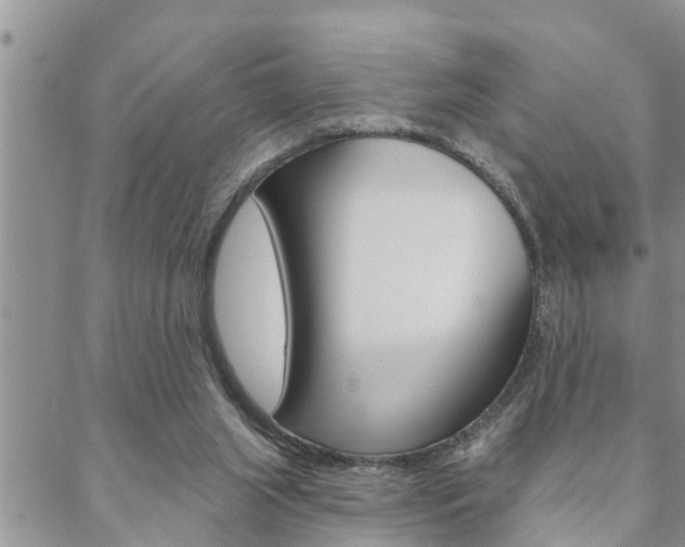 X0000088610063200705250908