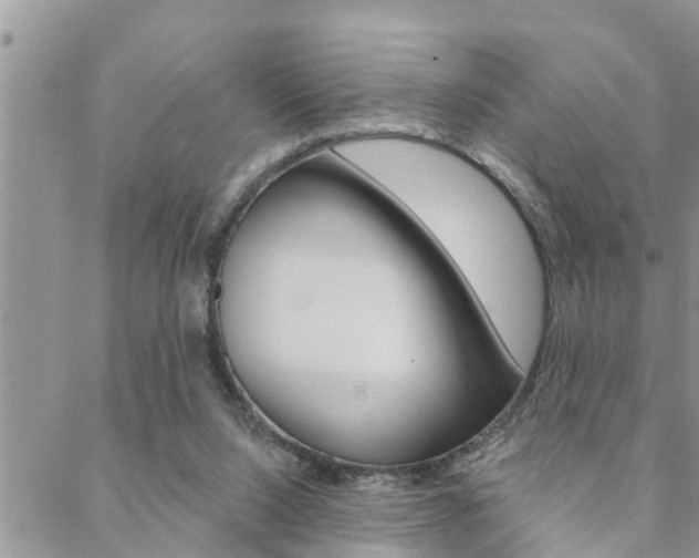 X0000088610064200705250908