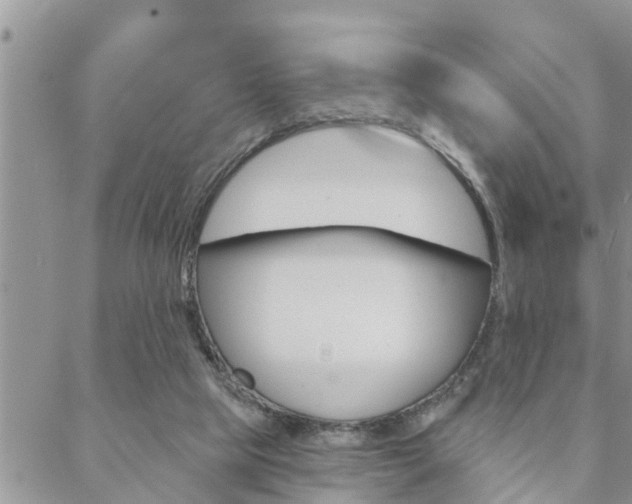 X0000088610065200705250908