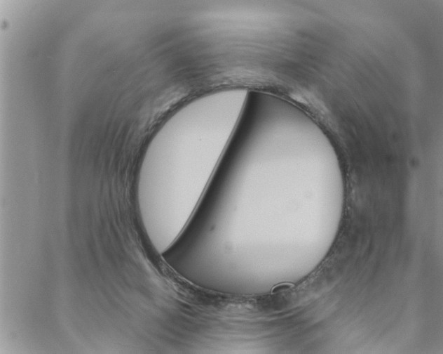 X0000088610066200705250908