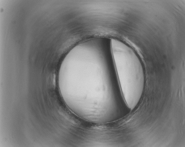 X0000088610067200705250908