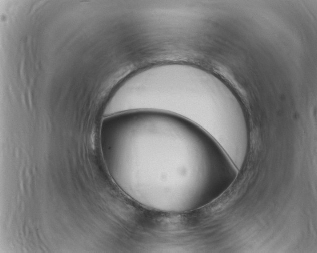 X0000088610068200705250908