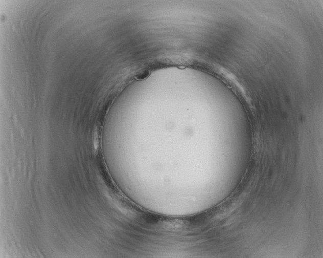 X0000088610069200705250908