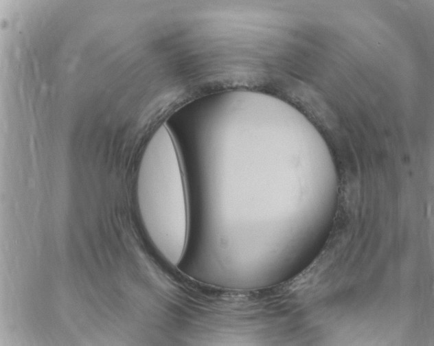 X0000088610070200705250908