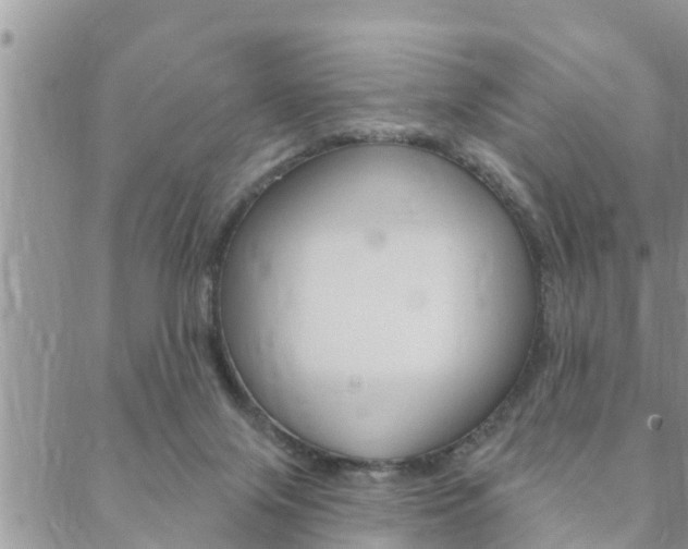 X0000088610071200705250908