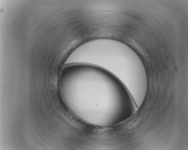 X0000088610072200705250908