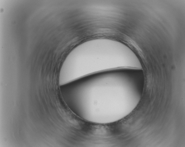 X0000088610073200705250908