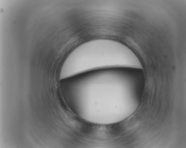 X0000088610074200705250908