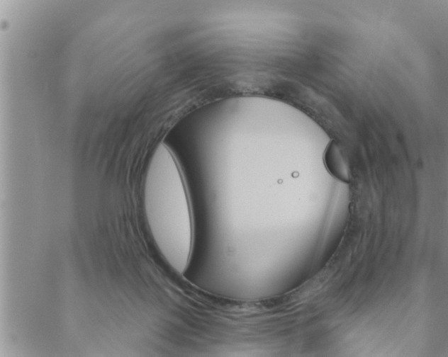 X0000088610075200705250908