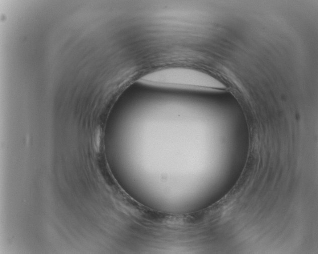 X0000088610076200705250908