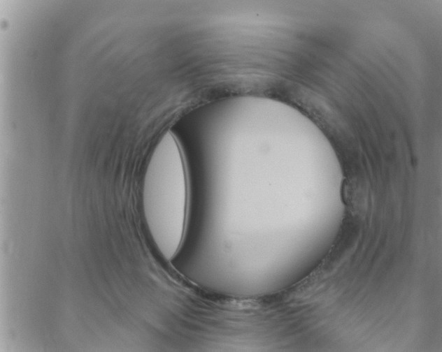 X0000088610077200705250908