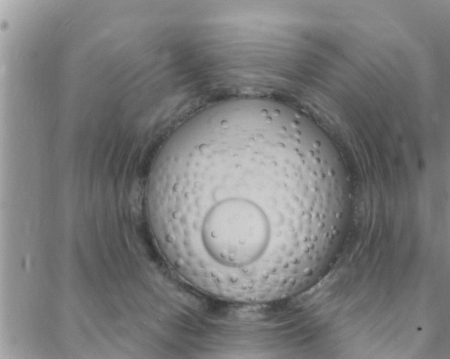 X0000088610078200705250908