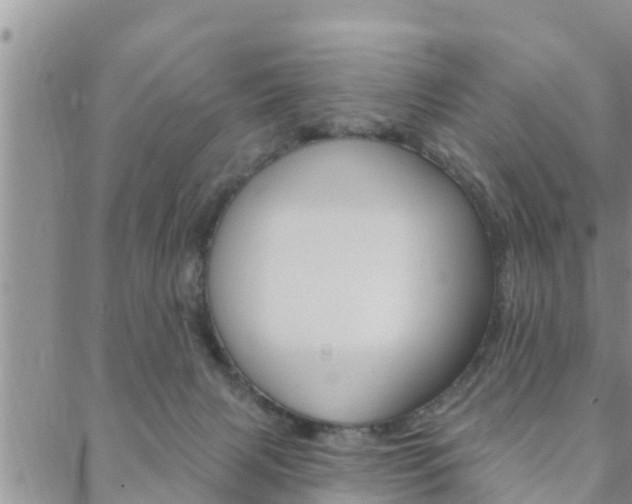 X0000088610079200705250908