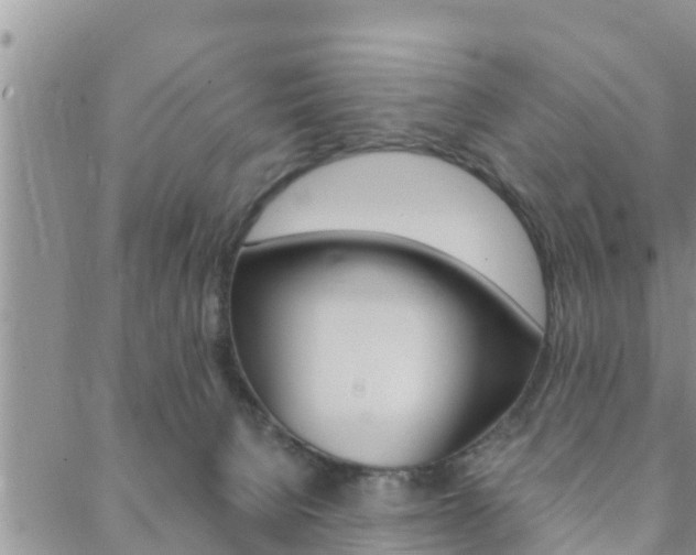 X0000088610080200705250908