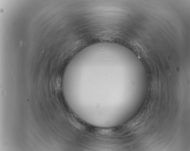 X0000088610081200705250908