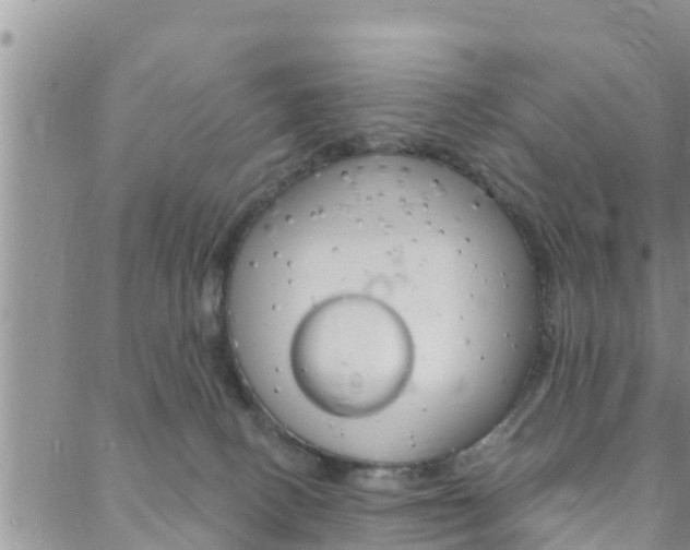 X0000088610082200705250908