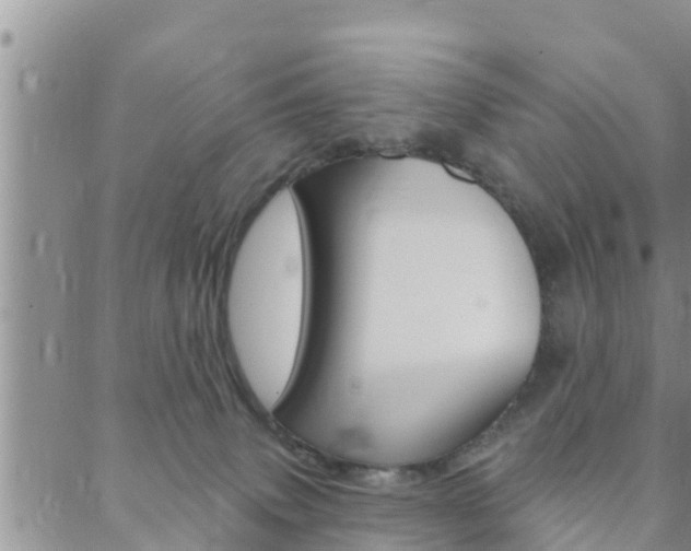 X0000088610083200705250908