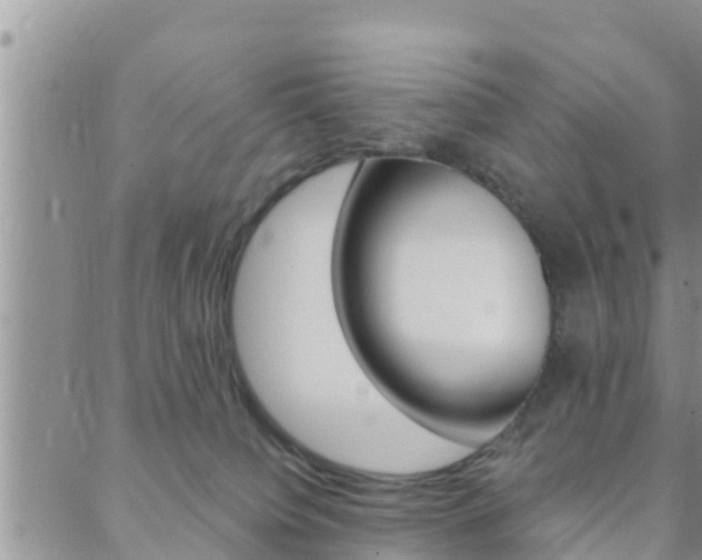 X0000088610084200705250908