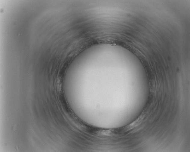 X0000088610086200705250908