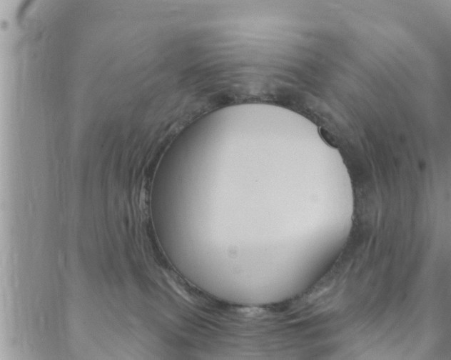 X0000088610087200705250908