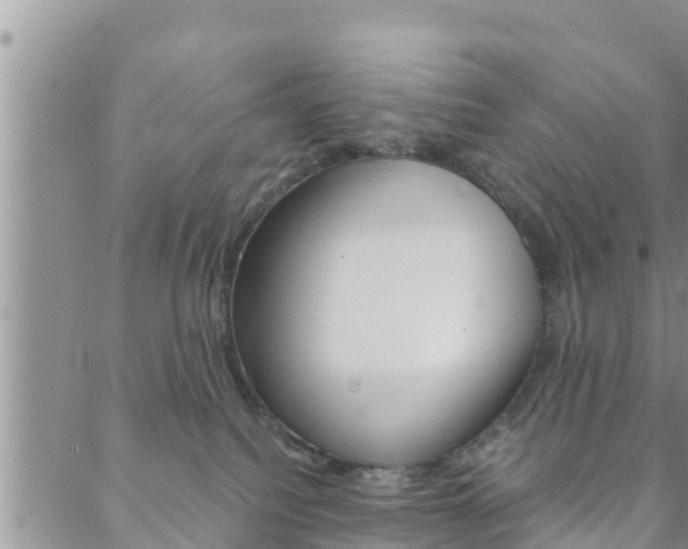 X0000088610088200705250908