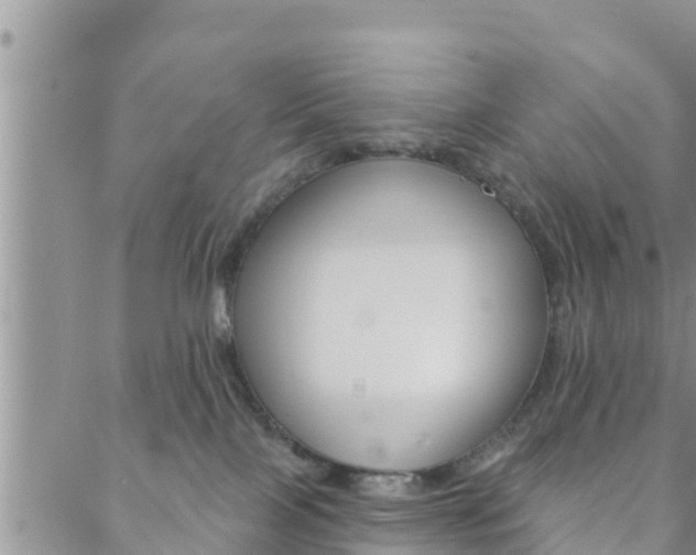 X0000088610089200705250908