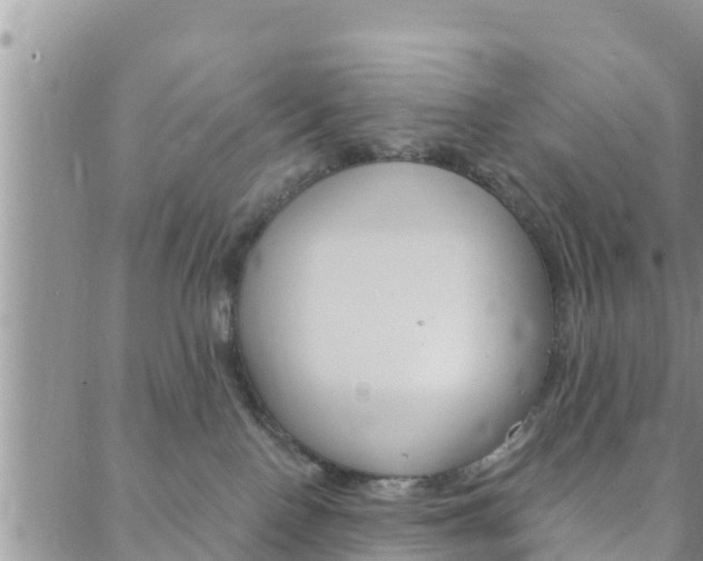 X0000088610090200705250908