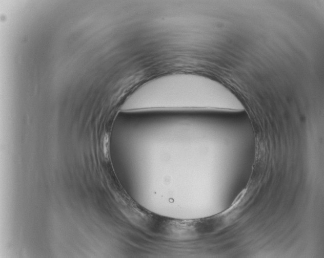 X0000088610094200705250908