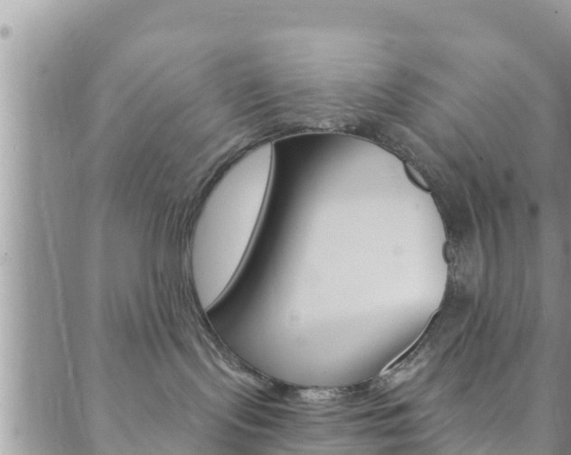 X0000088610095200705250908