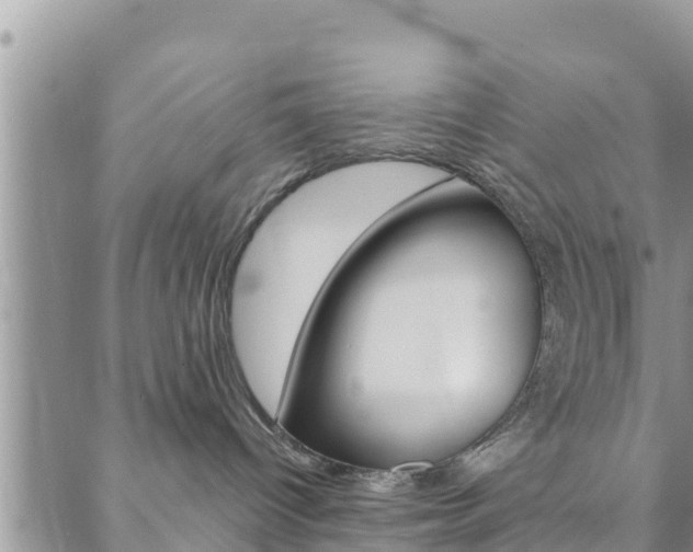 X0000088610096200705250908