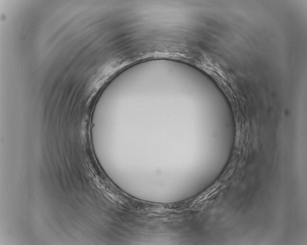 X0000088610098200705250907