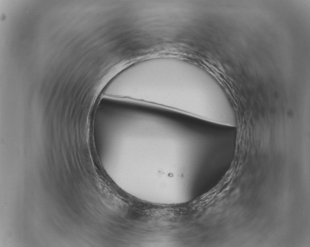 X0000088610100200705250907